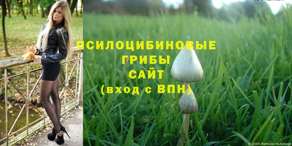 трава Ладушкин
