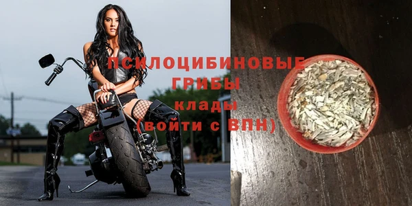 трава Ладушкин