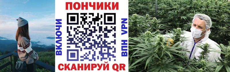 Бошки Шишки THC 21% Купить закладки Бугуруслан